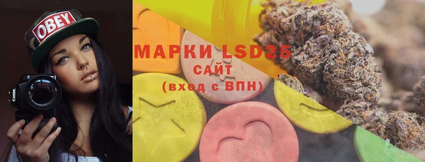 шишки Балабаново