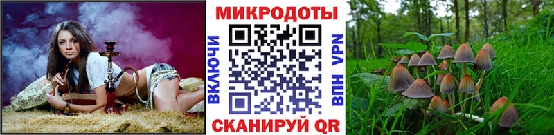 Галлюциногенные грибы ЛСД  Лагань 